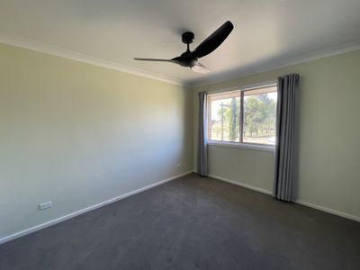 19 Terry Street, Tamworth