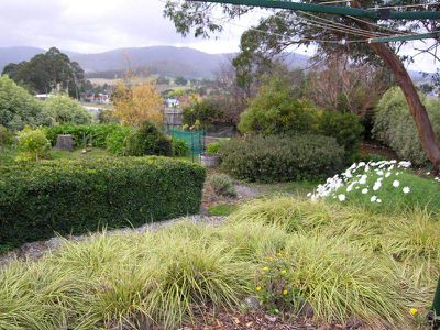7 Donohoe Street, Cygnet