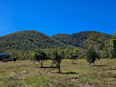 556 Mount Amos Road, Cooktown