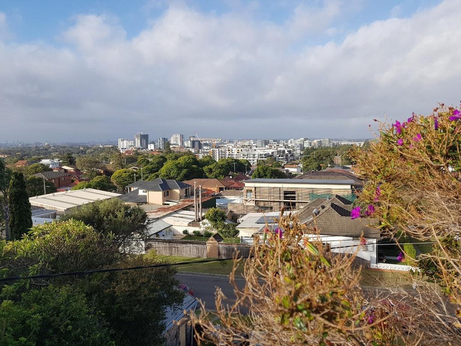 16 Realm Street, Arncliffe