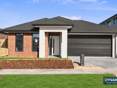 11 Gorgonzola Street, Donnybrook