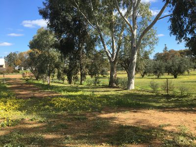 Lot 25, Mount Street, York