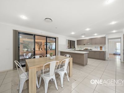 9 Lyrebird, Blackbutt