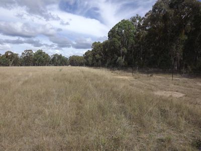 Glen Innes Road, Emmaville