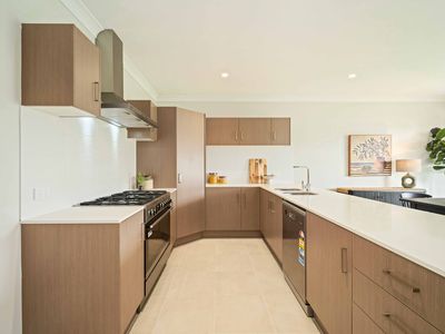 86 Tuckeroo Avenue, Mullumbimby