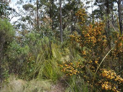 Lot 1, Guys Road, Cygnet