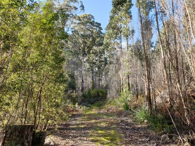 Lot 1 Oigles Road, Geeveston