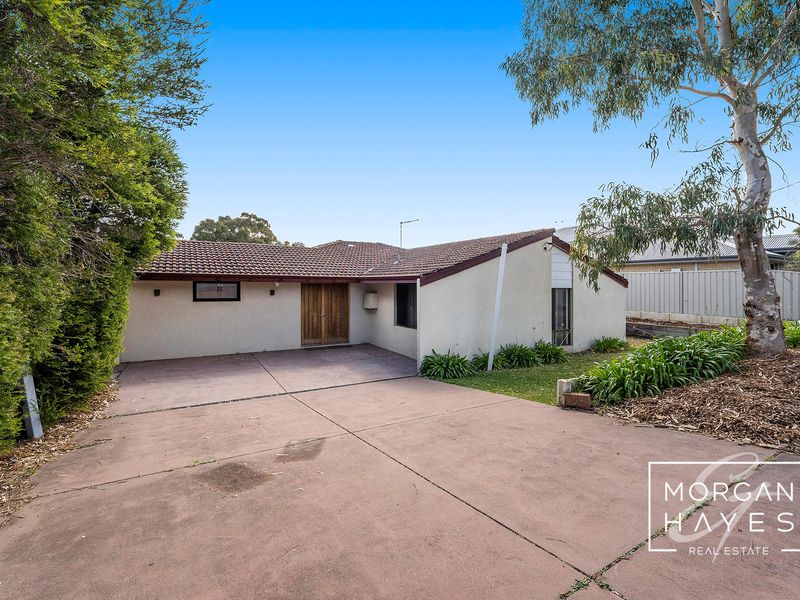 Real Estate Agent & Hayes Real Estate