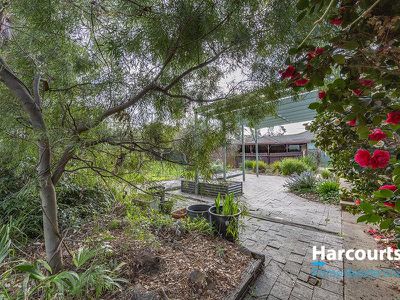 15 Mataranka Street, Hawker