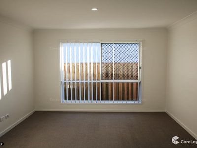 25 Bottle Brush Circuit, Coomera