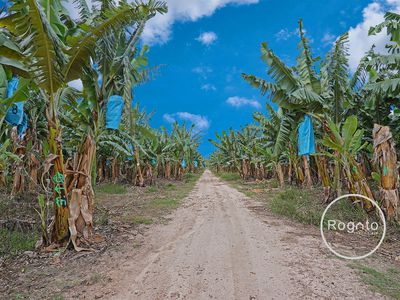 387 Fassio Road, Mareeba