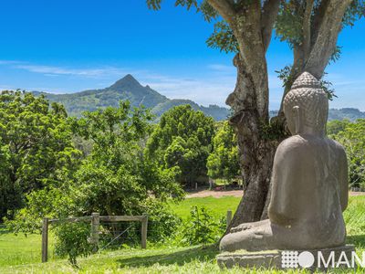 177 Mullumbimby Road, Myocum