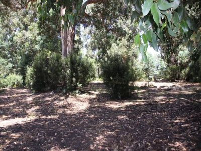 275 Dickersons Creek Road, Glen Huon