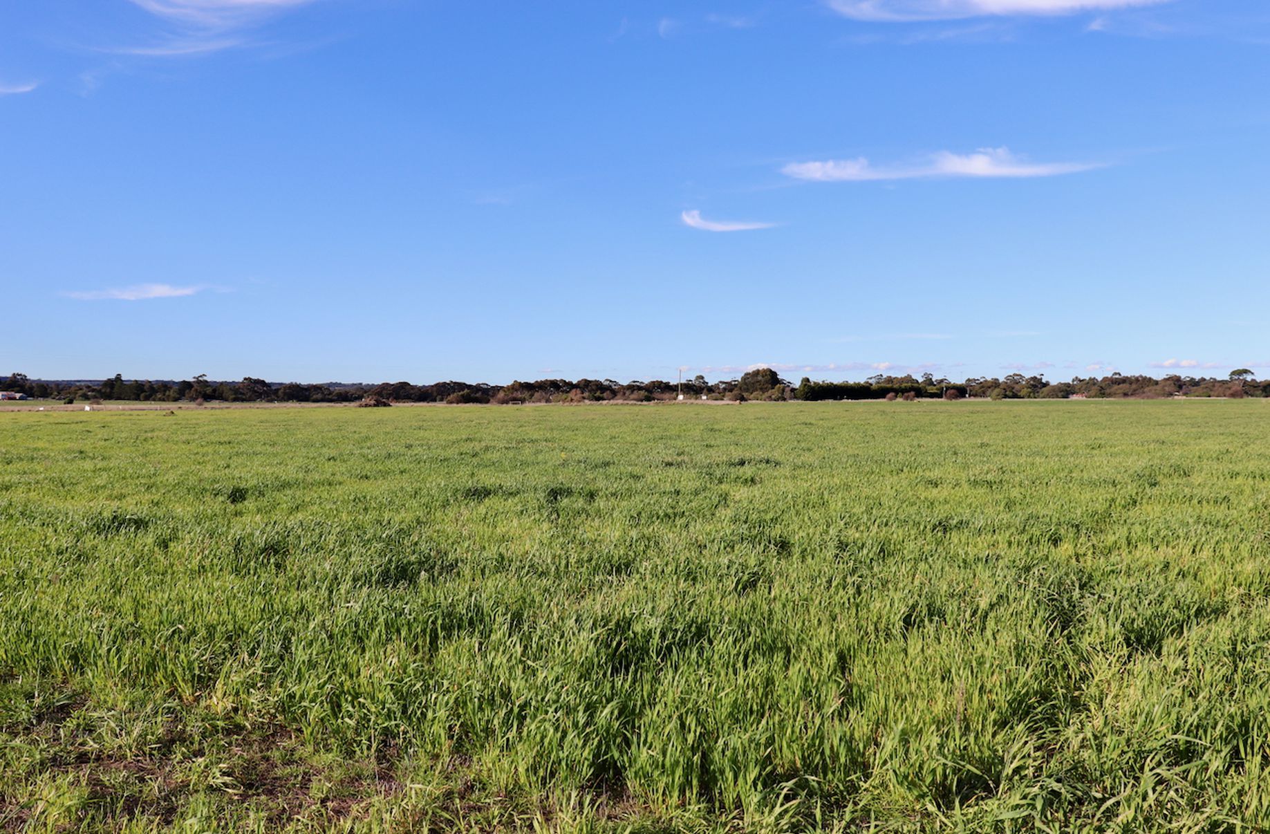 Lot 1, 2, 3 &, 4 COLAC-BALLARAT ROAD, Rokewood