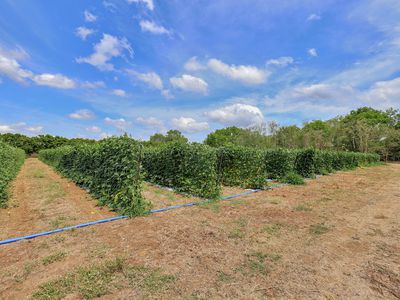 600 Mocatto Road, Acacia Hills