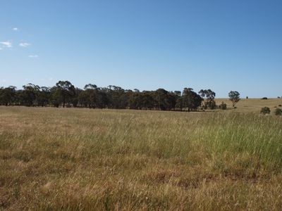 Lot 1, Corner Wedderburn Junction East Road & Little Mount Road, Fiery Flat