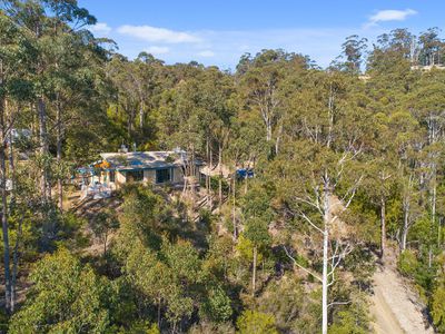 41 Cawthorns Road, Wattle Grove