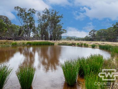 320 Cemetery Road, Torrington