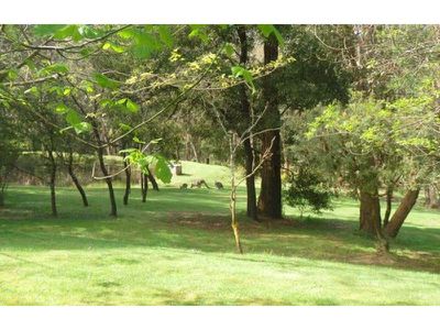 17 Redmond Road, Woodend