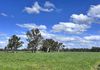1241 Drysdale Road, Pranjip
