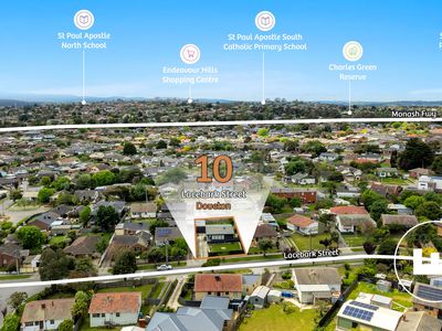 10 Lacebark Street, Doveton