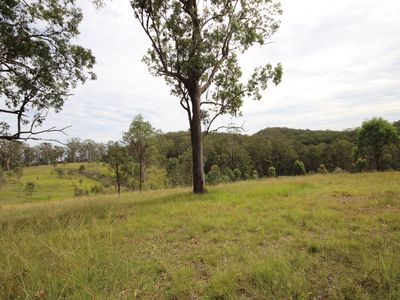 702 Comboyne Road, Byabarra