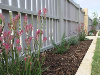20 Spiny Lane, Alkimos