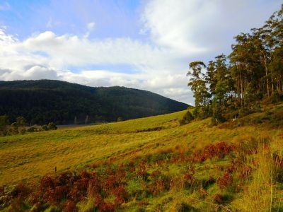 30 Acres Off Abbots Road, Nicholls Rivulet
