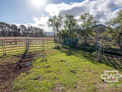 13 Bluff River Road, Tenterfield