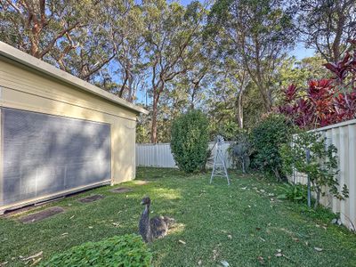 22 Torpey Avenue, Lemon Tree Passage