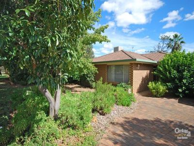 19 Edinburgh Avenue, Dubbo
