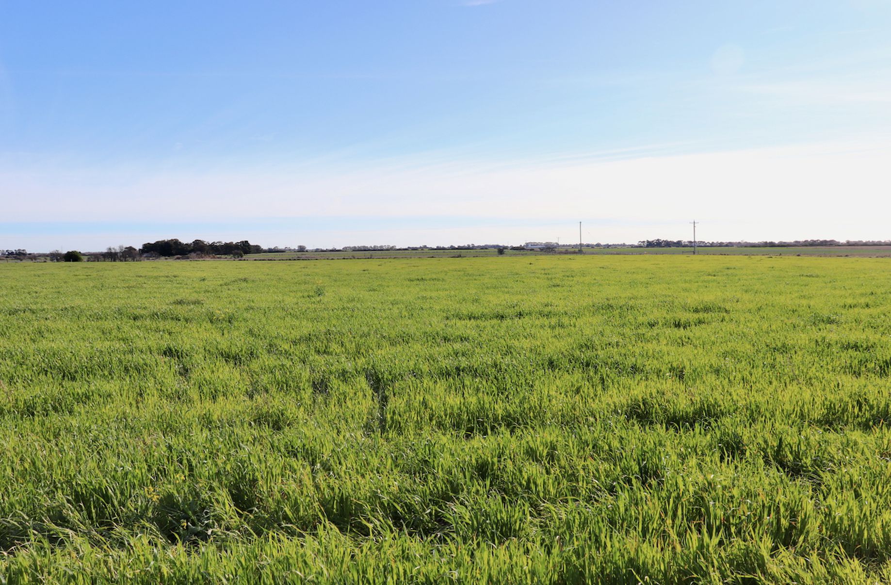Lot 1, 2, 3 &, 4 COLAC-BALLARAT ROAD, Rokewood