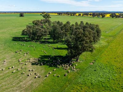 312 Merri Meric Road, Henty