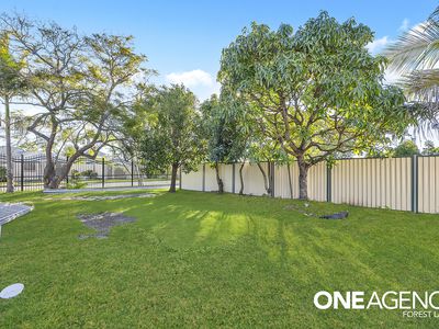 94 Buddleia Street, Inala