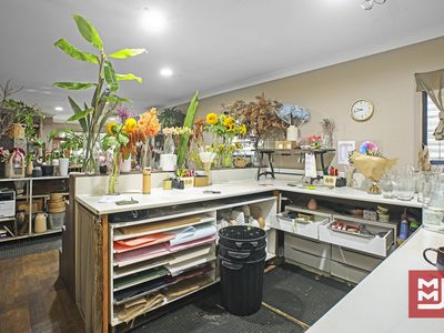 8 Addison Street, Shellharbour