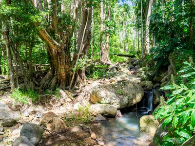 771 Left Bank Road, Mullumbimby Creek