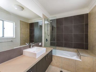 10 Pepper Tree Circuit, Maroochydore