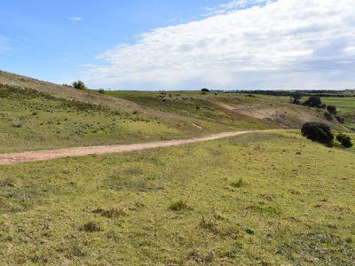 1483 Canunda Frontage Road, Millicent