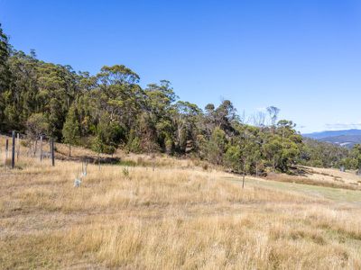 1045 Woodbridge Hill Road, Gardners Bay