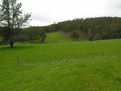 Office CO / Wens Road, Gardners Bay