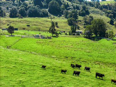 154  Tuntable Creek Road, The Channon