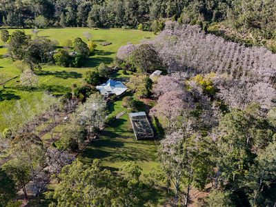 830 Pappinbarra Road, Pappinbarra