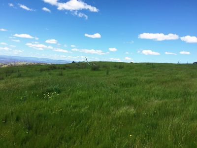 . Spring Gully Road, Wodonga