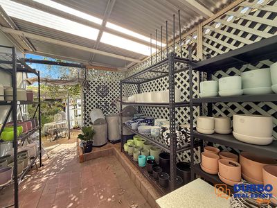 Magnolia Nursery