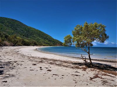 1105 Mount Amos Road, Cooktown