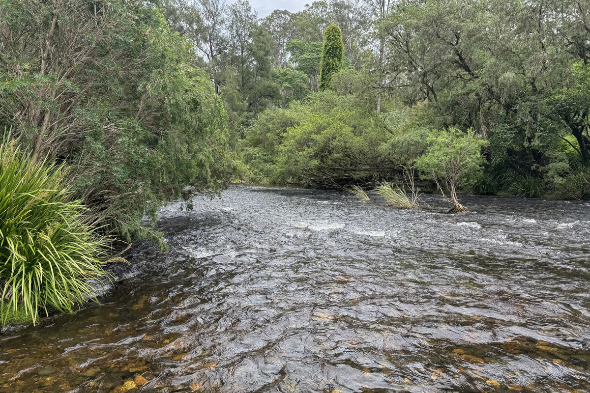 3461 Nowendoc Road, Caffreys Flat