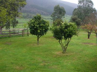 339 Little Snowy Creek Road, Eskdale