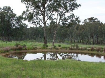 85 Dawe Road, Tallarook