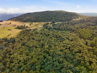 28834 Tasman Highway, Weldborough