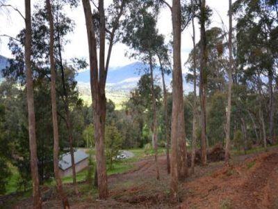 Lot 9, Diggings Road, Tawonga